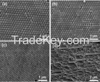 Polystyrene Particles