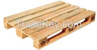 Pallets And Eucalyptus Products