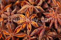 Star Anise