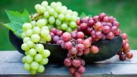 Fresh Grapes