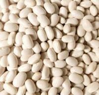 White Kidney Beans