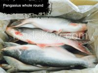 Pangasius Whole Round