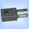 DC worm geared motor
