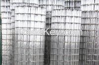 Galvanized Welded Mire Mesh