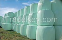 MAIZE SILAGE / Wheat barn | Wheat barn exporter | Wheat barn importer | Wheat barn supplier | Wheat barn distributor | Wheat barn manufacturer |Animal Feed Supplier | Animal Feed Distributor |Buy Animal Feed Online |Animal Feed Exporter |Animal Feed |
