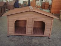 Dog House