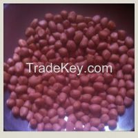 Pea Nut and Raw Cashew nut