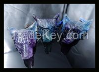 Natural Gemstone Fluorite Necklace Handcarved Wolf Head Pendant,45*33*15mm From China