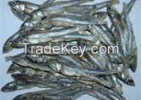 Dried Anchovy