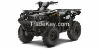 2013 Kawasaki Brute Force 300