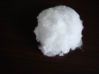 Polyester Staple Fibre, Super White