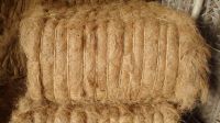 Coconut Coir Fiber From South Africa