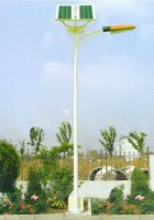 solar street light