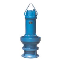 Submersible Axial Flow Pump
