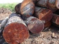 Granadillo, Quira, Panama Redwood, Macacauba logs