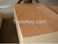 Bintangor Plywood &amp; Okoume Plywood