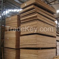 Chinese Fir Finger Jointed Board