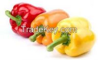 https://cn.tradekey.com/product_view/Capsicum-Yellow-And-Red-8243231.html