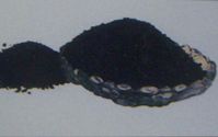 Shanghai Carbon International Trade Co.,LTD