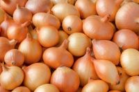 High Quality Fresh Onions (Paerl Onions, Red Onions, Shallots, Yellow Onions)