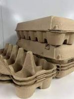 Lower Price Biodegradable Bagasse Egg Tray 100% Disposable Sugarcane Pulp Egg Box From Philippines