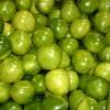 Honey pomelo