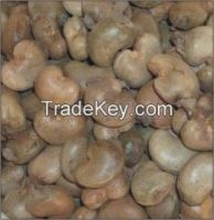 CASHEW NUTS