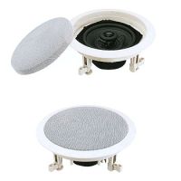 Ceiling Speaker