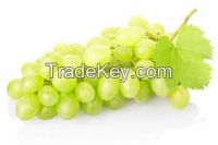 grapes  