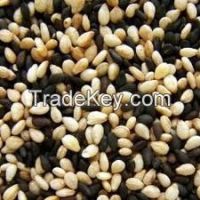 Sesame Seeds, Sunflower seeds, chia seeds, poppy seeds, pumkin seeds, water m...
