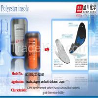 Polyester Polyurethane Resin System For Beach