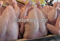 Fresh Frozen Whole Chicken (Grade A)