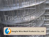 Galvanized Welded Wire Mesh Rolls & Panels