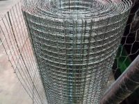 Customized Application Welded Wire Mesh Rolls From China