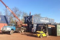 Forest In The Container For Export