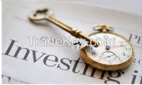 Investment projects practice