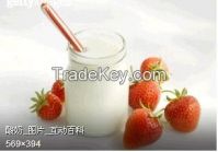 Uht Milk Stirred Yoghurt Production Line Flow Diagram