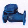 Swing Check Valve