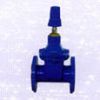 BS5163 NRS Gate Valve