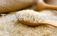 Exporters of Basmati and Non Basmati Rice