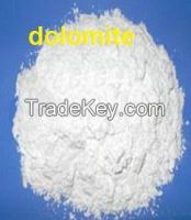 Quality 800 mesh dolomite powder