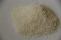 Water soluble polyester Size