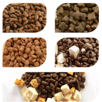 Halal Dry Cat And Puppy Food