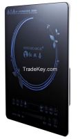 Induction Cooker