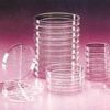 Microscope Slides