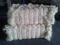 Sisal Fiber