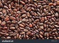 Grade A High Quality Raw Cocoa Beans