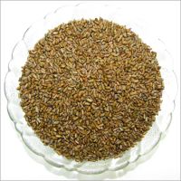 High Quality Cassia Tora Seeds