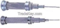 aluminum conductor steel reinforced ACSR conductor