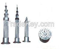 aluminum alloy conductor AAAC